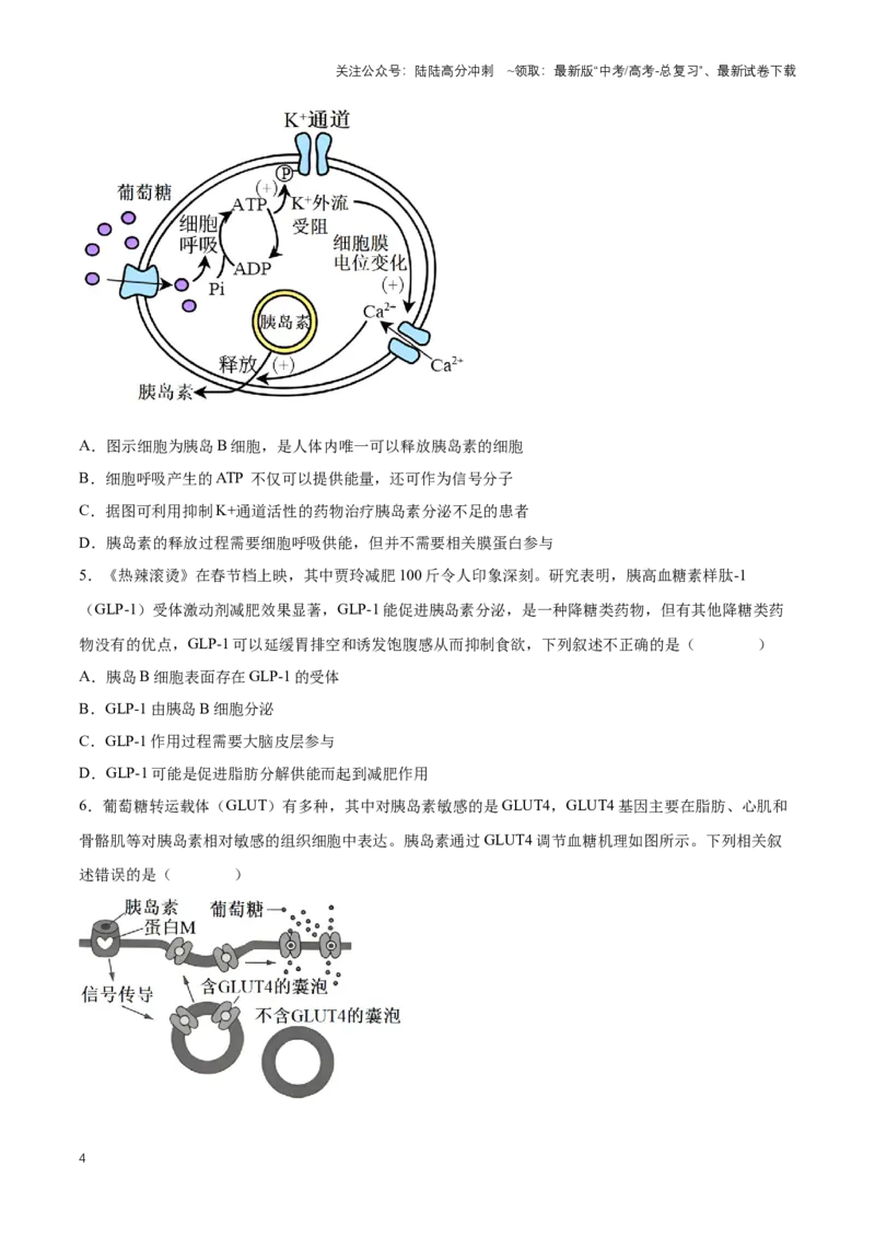 《热点01《科学》杂志将GLP-1药物评选为2023年度十大科学突破之首-（原卷版）_06-生物-高考总复习_专项复习_2024年_2024年高考生物热点情境解读与知识链接8份_资料_1-资料》第4页预览