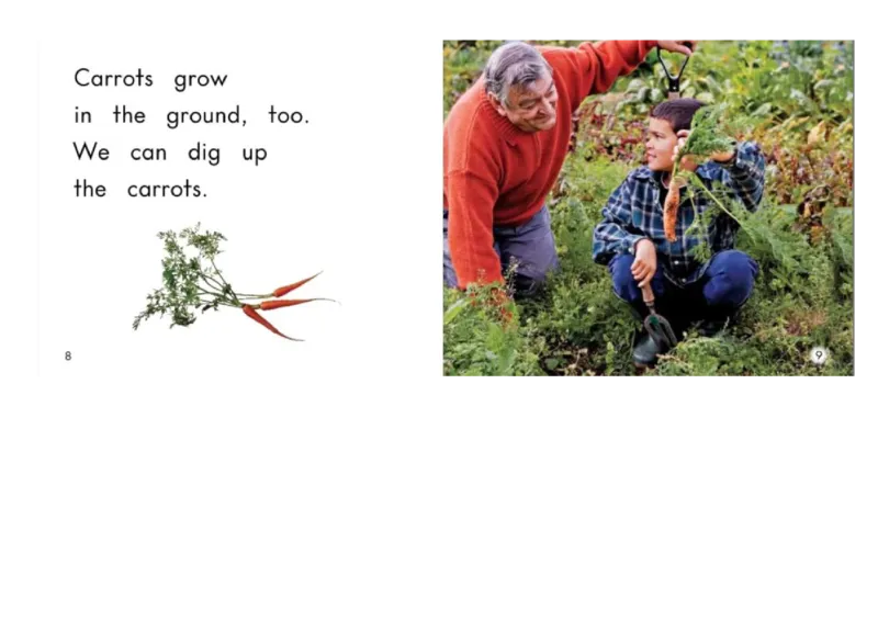 《Wherethingsgrow_26秋小学初中各机构教辅大合集（一本、教材帮、阳光同学、王朝霞、实验班、小典中点、上分卷、白欧、课堂笔记等等）_26秋小学教辅资料_1526秋课件教案_小学英语_ALearn》第5页预览