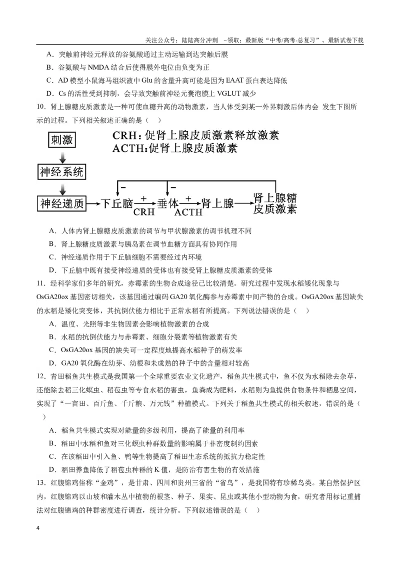 《生物（九省联考考后提升卷，贵州卷）（原卷版）_06-生物-高考总复习_专项复习_2024年_2024高考生物1月九省联考猜想卷真题汇编完全解读》第4页预览