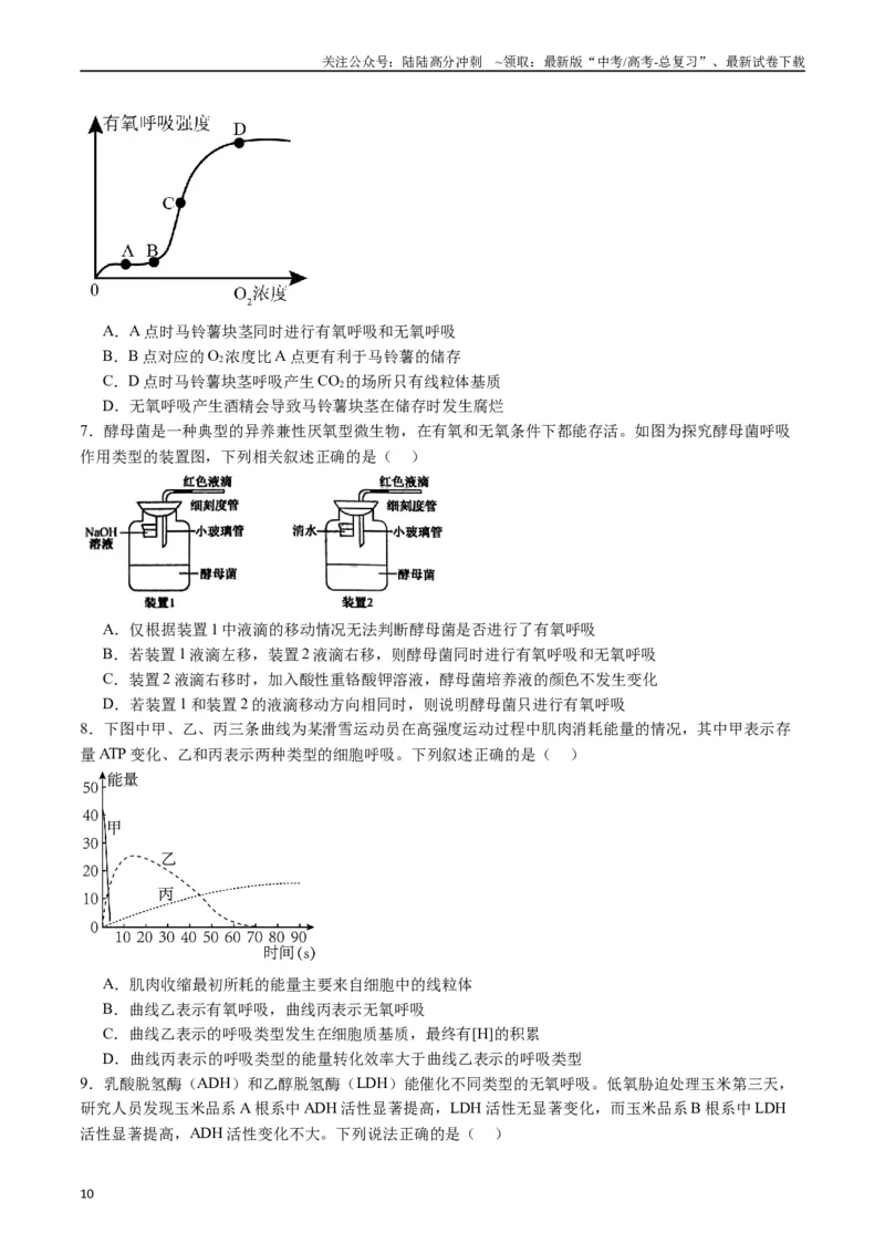 《专题05细胞呼吸（原卷版）_06-生物-高考总复习_专项复习_2024年_2024年新高考生物复习热点考点真题模拟题必刷题练_资料》第10页预览