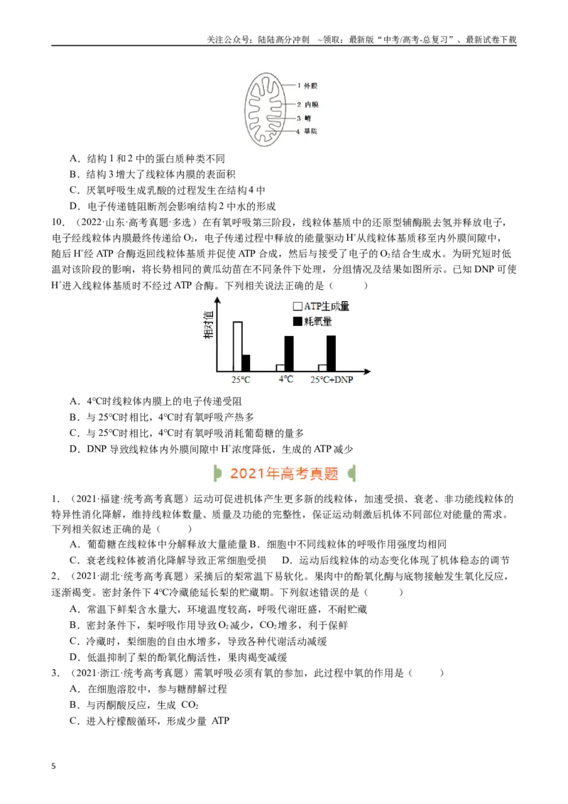《专题05细胞呼吸（原卷版）_06-生物-高考总复习_专项复习_2024年_2024年新高考生物复习热点考点真题模拟题必刷题练_资料》第5页预览
