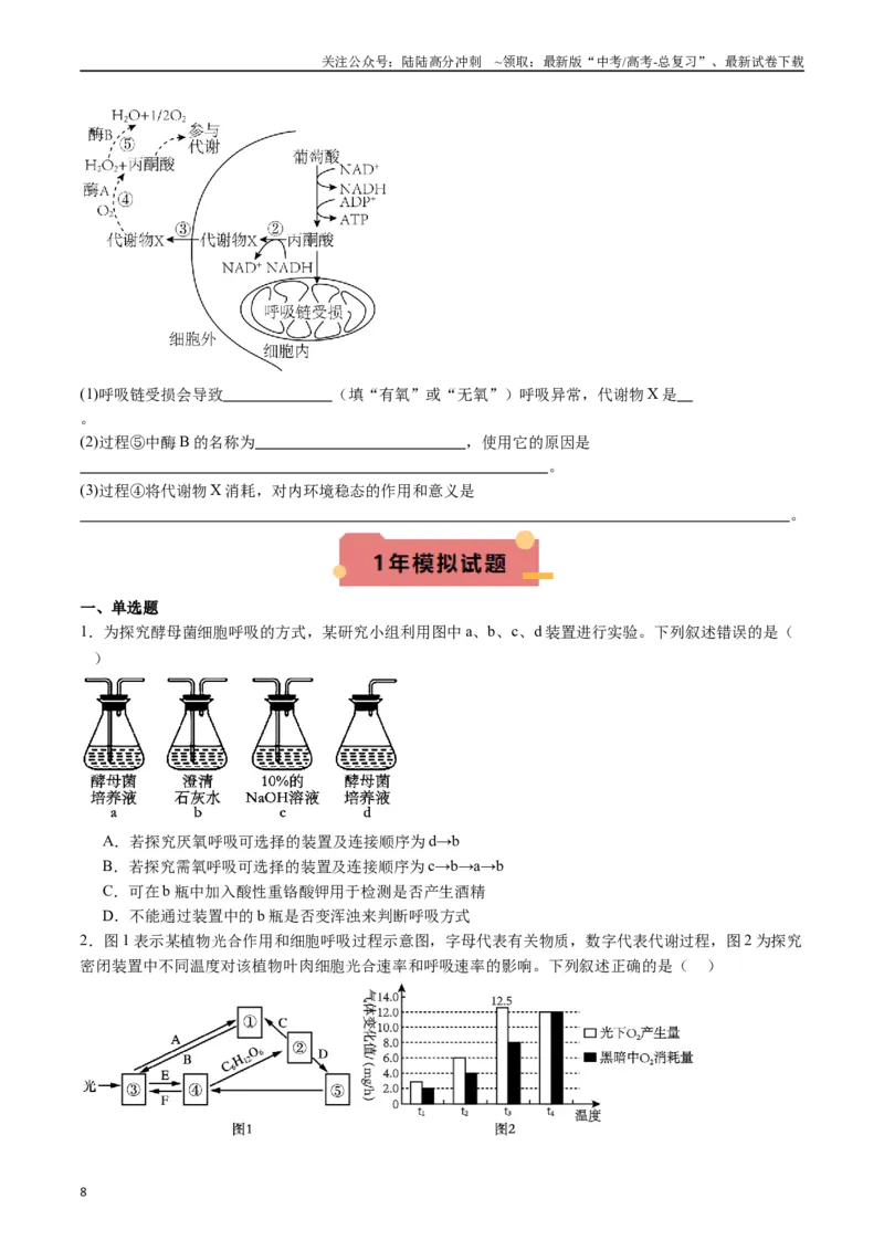 《专题05细胞呼吸（原卷版）_06-生物-高考总复习_专项复习_2024年_2024年新高考生物复习热点考点真题模拟题必刷题练_资料》第8页预览