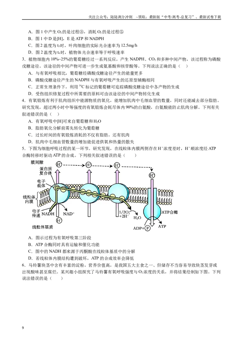 《专题05细胞呼吸（原卷版）_06-生物-高考总复习_专项复习_2024年_2024年新高考生物复习热点考点真题模拟题必刷题练_资料》第9页预览