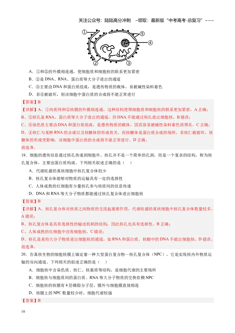 《第05讲细胞膜和细胞核（专项训练）（四川专用）（教师版）_06-生物-高考总复习_一轮复习_2026年-生物高考一轮复习_2026年高考生物一轮课件+讲义+练习（四川专用）-G335》第10页预览