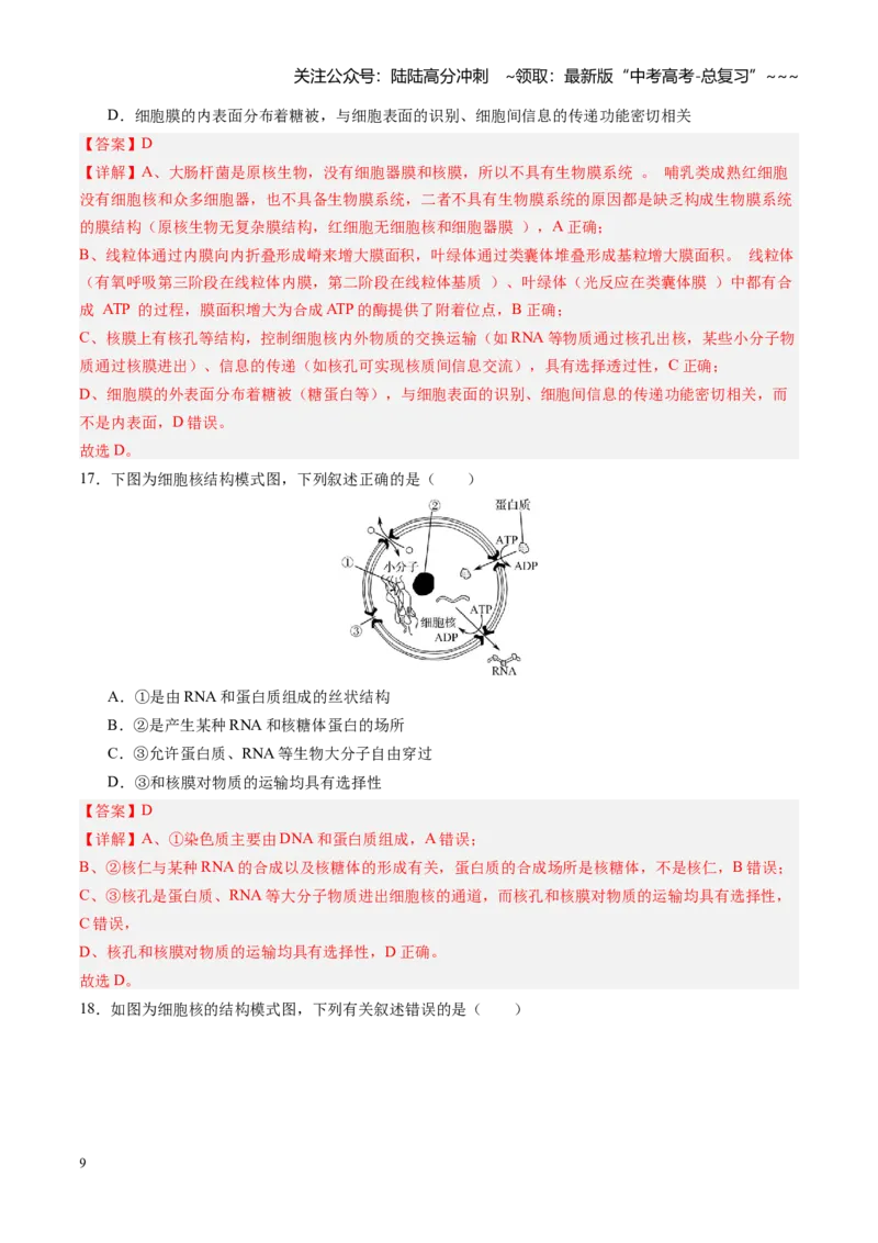 《第05讲细胞膜和细胞核（专项训练）（四川专用）（教师版）_06-生物-高考总复习_一轮复习_2026年-生物高考一轮复习_2026年高考生物一轮课件+讲义+练习（四川专用）-G335》第9页预览