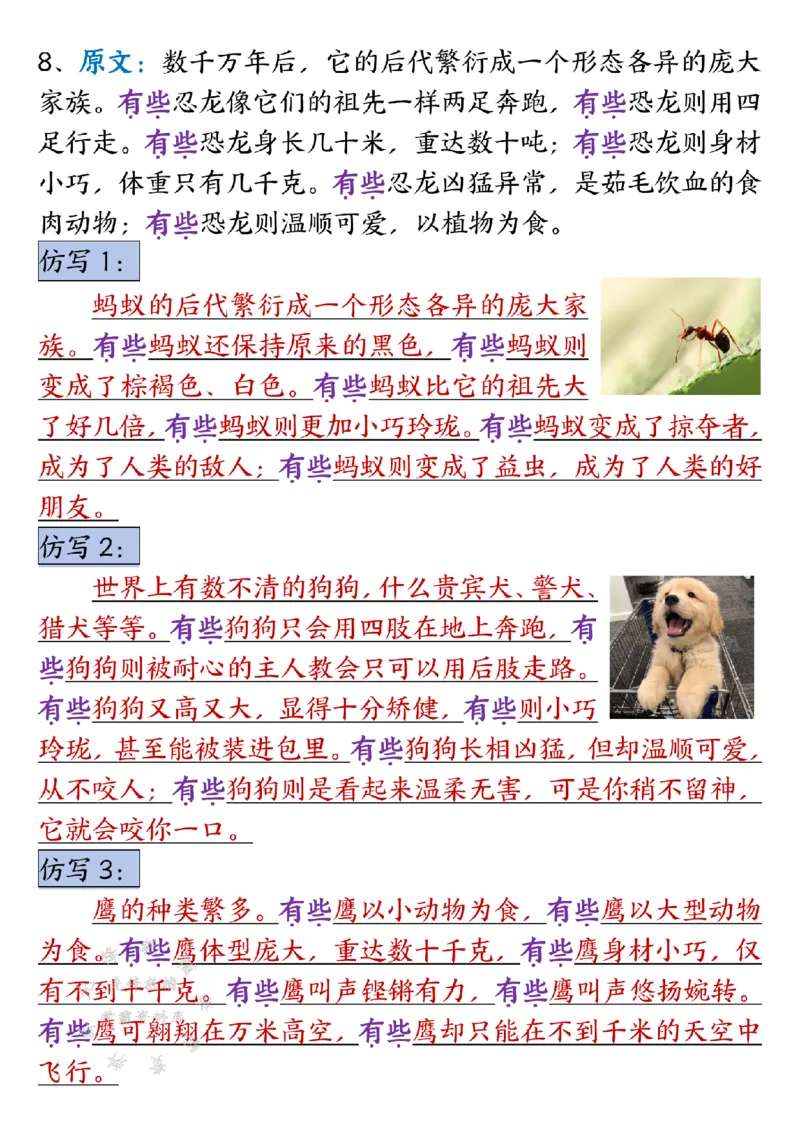 《SY_4年级下册同步教辅_四下语文_四下语文专项练习_四年级（下）语文1-4单元重点仿写小练笔-》第5页预览