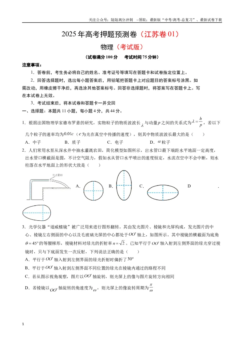 《物理（江苏卷01）（考试版）_04-物理-高考总复习_专项复习_2025年_2025年高考押题预测卷（多地区）物理》第1页预览