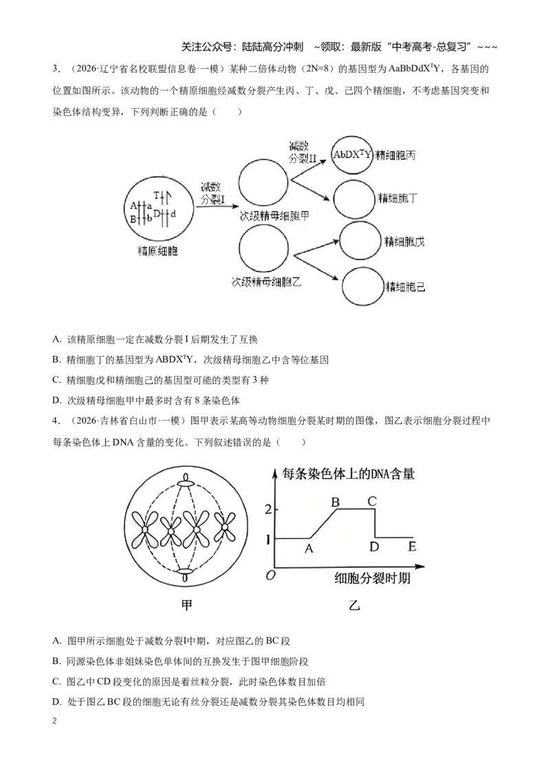 《专题03细胞的生命历程（学生版）_06-生物-高考总复习_专项复习_2026年-生物高考专项复习_2026年高考生物一模试题分类汇编（黑吉辽蒙专用）-G238_2026版》第2页预览
