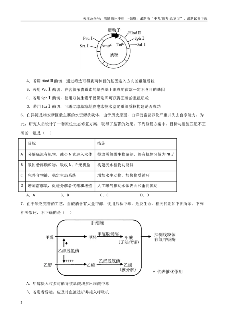 《生物（北京卷）（考试版）_06-生物-高考总复习_专项复习_2025年_2025年高考第一二三次模拟卷（多地区）生物_2025年高考生物第二次模拟卷26套_生物（北京卷）》第3页预览