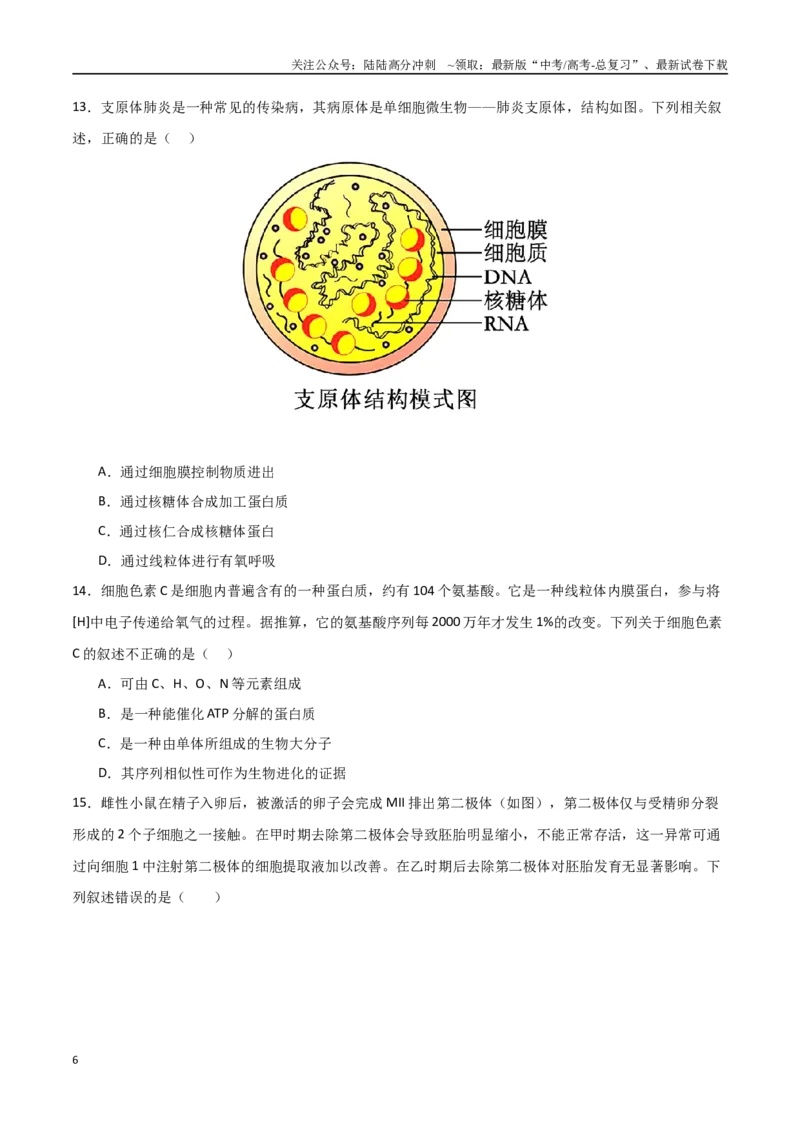 《生物（北京卷）（考试版）_06-生物-高考总复习_专项复习_2025年_2025年高考第一二三次模拟卷（多地区）生物_2025年高考生物第二次模拟卷26套_生物（北京卷）》第6页预览