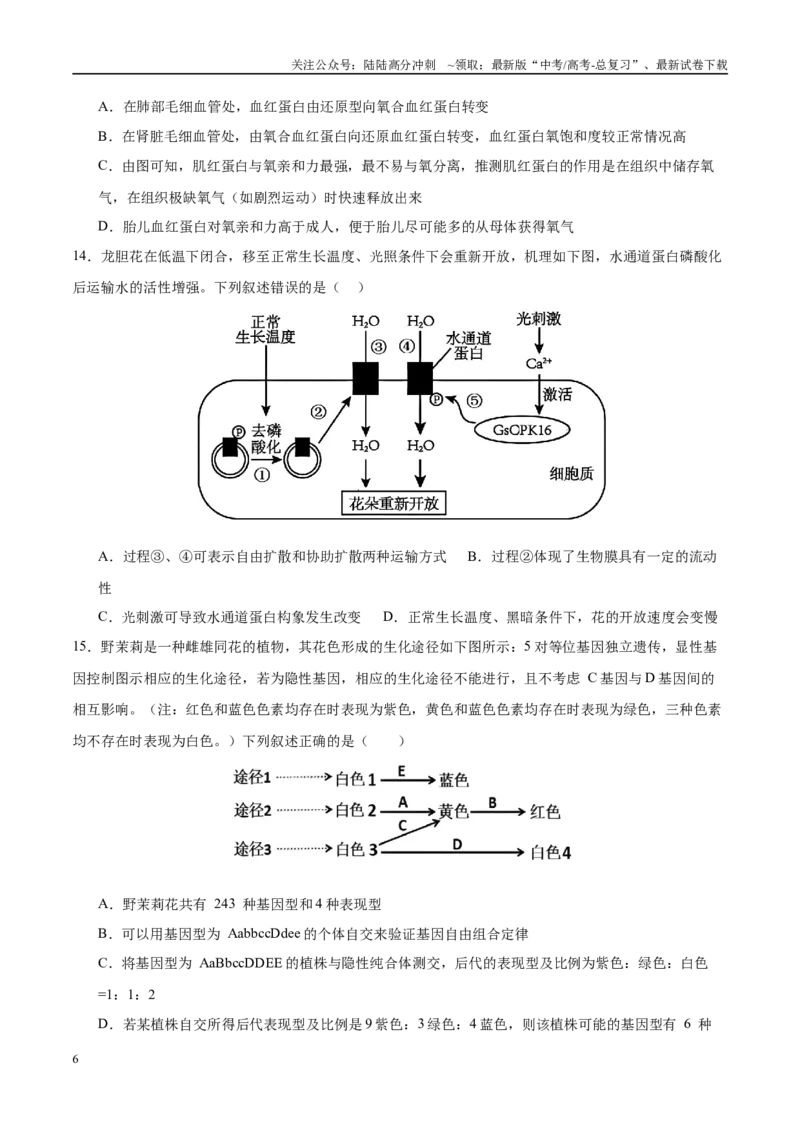 《模拟卷06（福建专用）（考试版）_06-生物-高考总复习_专项复习_2025年_2025年高考生物模拟卷（福建专用）8套》第6页预览