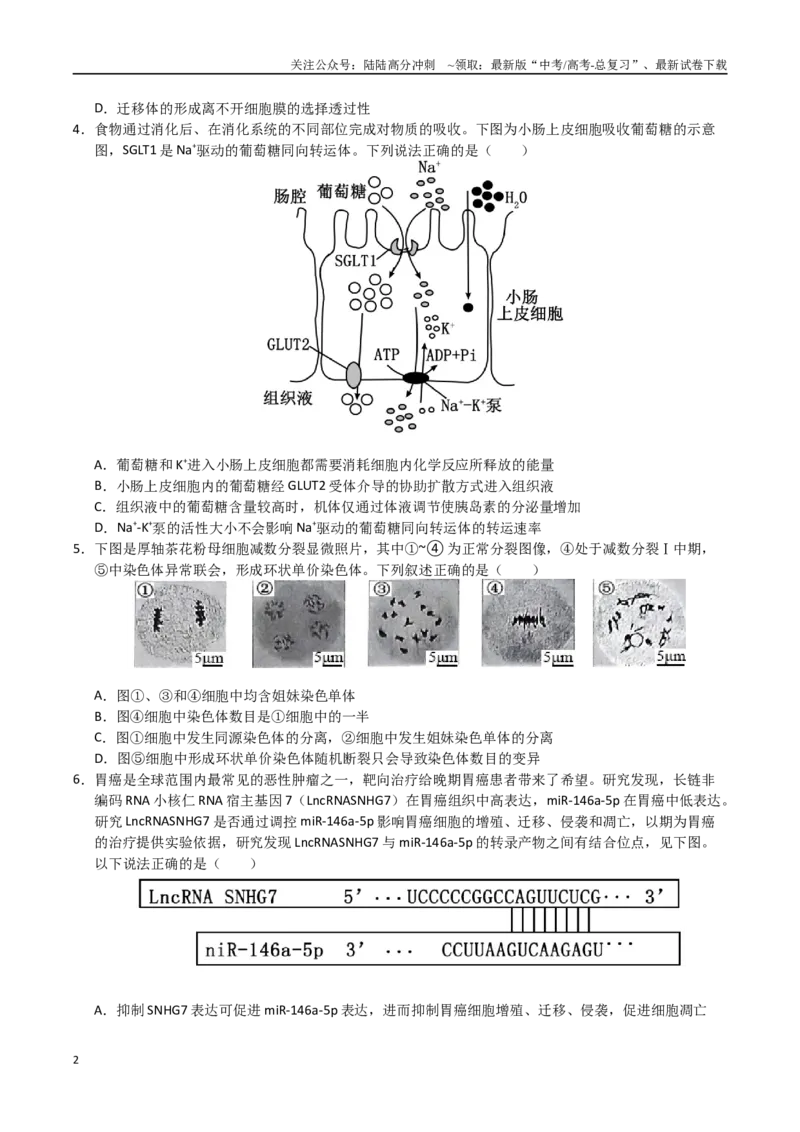 《生物（云南卷01）（考试版）_06-生物-高考总复习_专项复习_2025年_2025年高考押题预测卷（多地区）生物》第2页预览