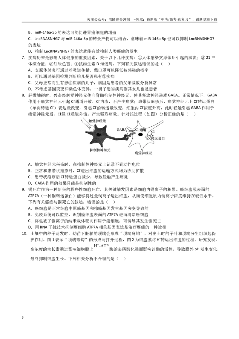 《生物（云南卷01）（考试版）_06-生物-高考总复习_专项复习_2025年_2025年高考押题预测卷（多地区）生物》第3页预览