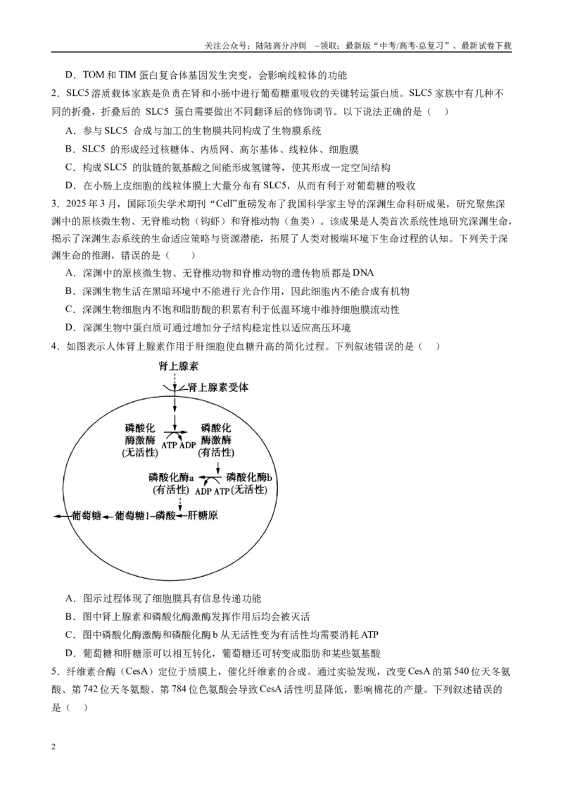 《生物-（黑吉辽蒙专用）（学生版）(1)_06-生物-高考总复习_专项复习_2025年_2025年高考终极押题猜想生物》第2页预览