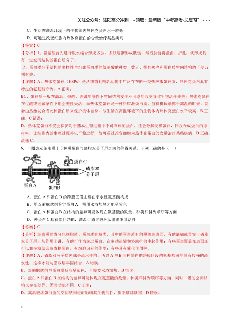 《第04讲蛋白质和核酸（专项训练）（教师版）_06-生物-高考总复习_一轮复习_2026年-生物高考一轮复习_2026年高考生物一轮课件+讲义+练习（黑吉辽蒙专用）-G330》第4页预览
