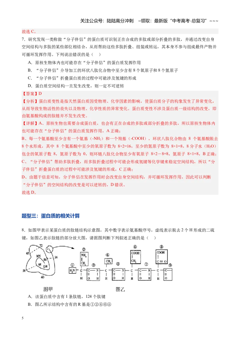 《第04讲蛋白质和核酸（专项训练）（教师版）_06-生物-高考总复习_一轮复习_2026年-生物高考一轮复习_2026年高考生物一轮课件+讲义+练习（黑吉辽蒙专用）-G330》第5页预览