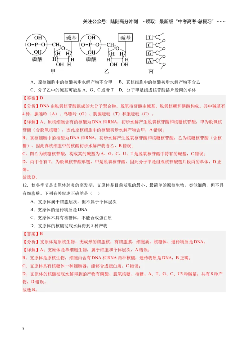 《第04讲蛋白质和核酸（专项训练）（教师版）_06-生物-高考总复习_一轮复习_2026年-生物高考一轮复习_2026年高考生物一轮课件+讲义+练习（黑吉辽蒙专用）-G330》第8页预览