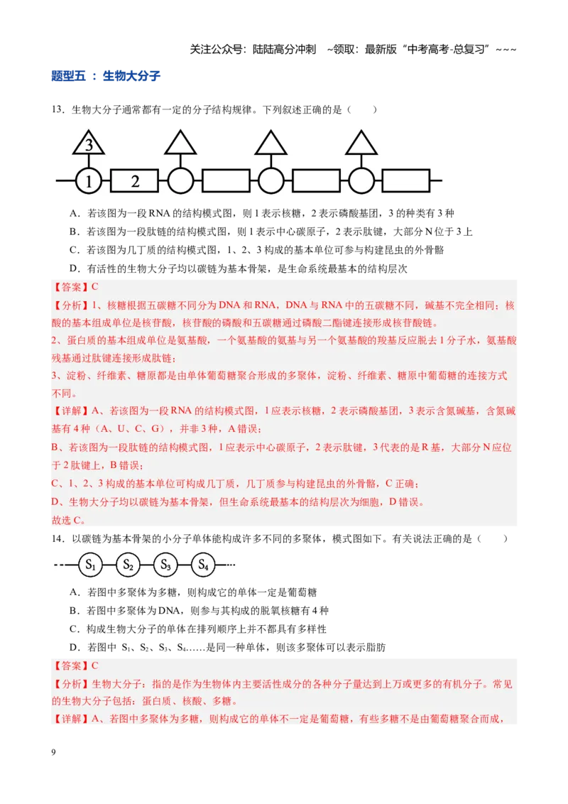 《第04讲蛋白质和核酸（专项训练）（教师版）_06-生物-高考总复习_一轮复习_2026年-生物高考一轮复习_2026年高考生物一轮课件+讲义+练习（黑吉辽蒙专用）-G330》第9页预览