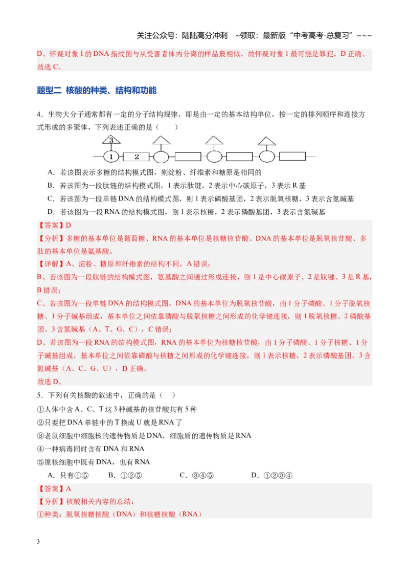 《第04讲蛋白质和核酸（专项训练）（安徽专用）（教师版）_06-生物-高考总复习_一轮复习_2026年-生物高考一轮复习_2026年高考生物一轮课件+讲义+练习（安徽专用）-G326》第3页预览