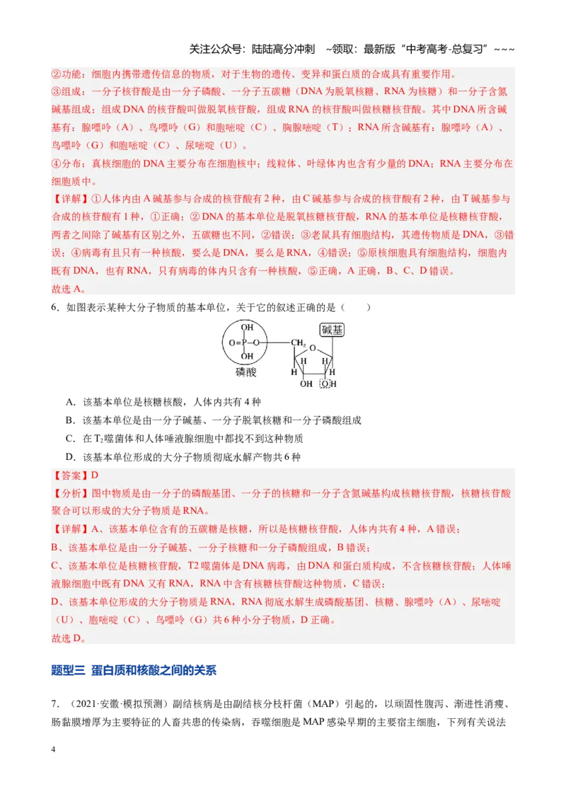 《第04讲蛋白质和核酸（专项训练）（安徽专用）（教师版）_06-生物-高考总复习_一轮复习_2026年-生物高考一轮复习_2026年高考生物一轮课件+讲义+练习（安徽专用）-G326》第4页预览