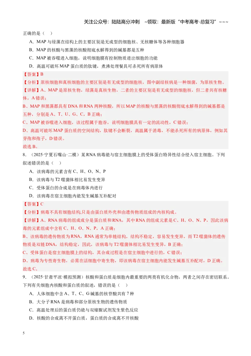 《第04讲蛋白质和核酸（专项训练）（安徽专用）（教师版）_06-生物-高考总复习_一轮复习_2026年-生物高考一轮复习_2026年高考生物一轮课件+讲义+练习（安徽专用）-G326》第5页预览
