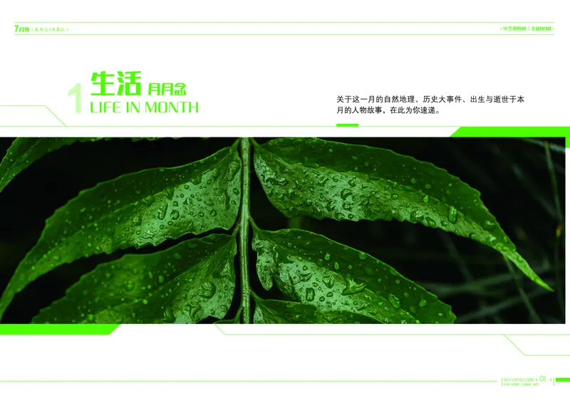 《7月刊190711v3-b6f99ea5bc60_学而思高一全套_2019秋季高一1_2019秋高一语文腾飞班（全国）张卡特_读物》第3页预览