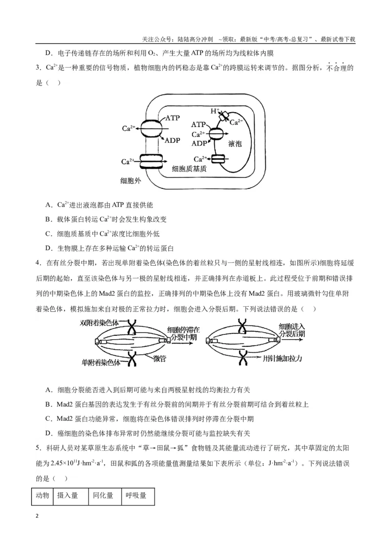 《生物（九省联考考后提升卷，安徽卷）（原卷版）_06-生物-高考总复习_专项复习_2024年_2024高考生物1月九省联考猜想卷真题汇编完全解读》第2页预览