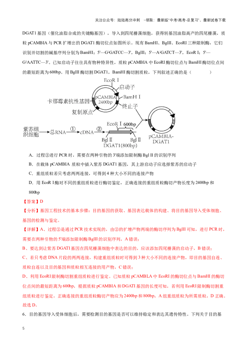 《热点08工程噬菌体-（解析版）_06-生物-高考总复习_专项复习_2024年_2024年高考生物热点情境解读与知识链接8份_资料_1-资料》第5页预览