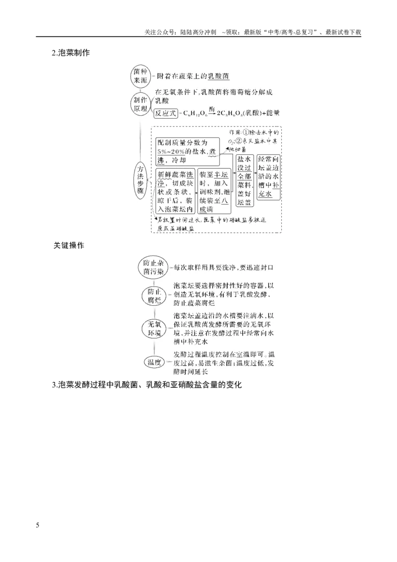 《专题10生物技术与工程（讲义）（原卷版）_06-生物-高考总复习_二轮复习_2024年_2024年高考生物二轮复习高频考点追踪与预测（新高考专用）_讲义》第5页预览
