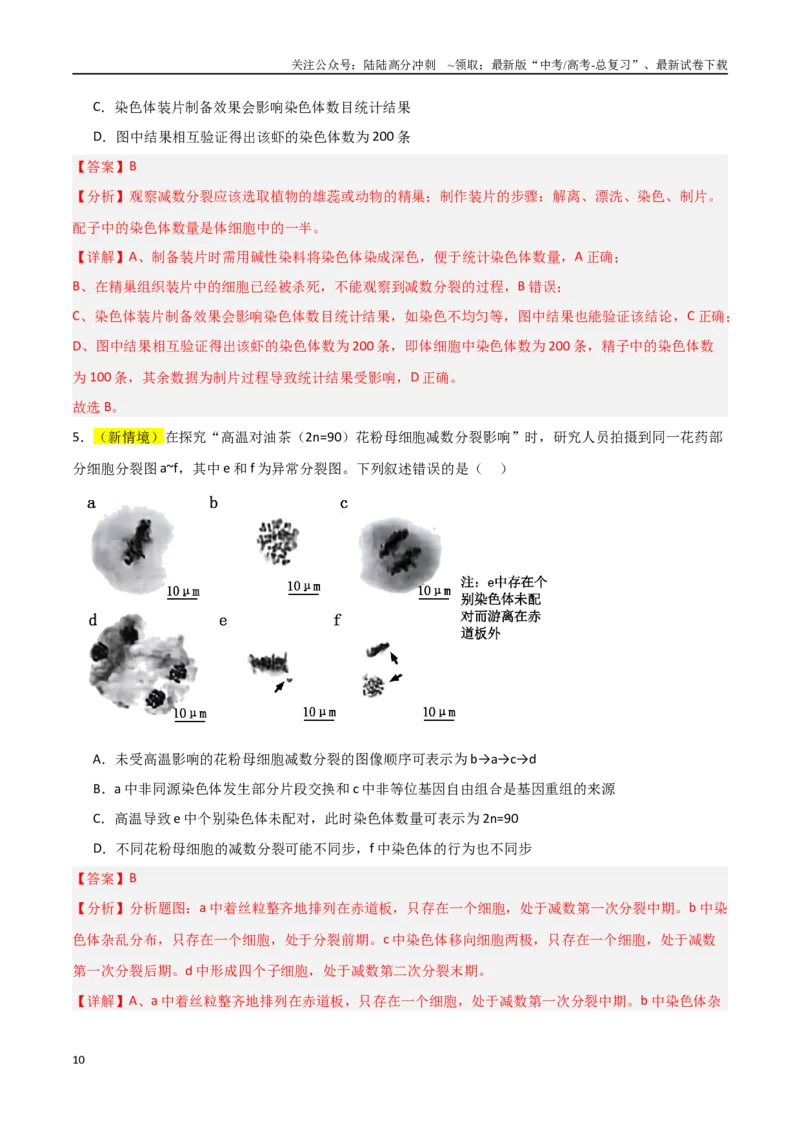 《猜押02细胞增殖、分化、衰老和死亡（教师版）_06-生物-高考总复习_专项复习_2025年_2025年高考生物抢分秘籍（新高考专用）_2025版》第10页预览