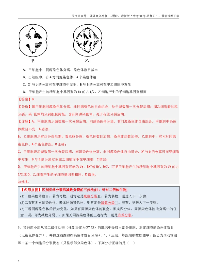 《猜押02细胞增殖、分化、衰老和死亡（教师版）_06-生物-高考总复习_专项复习_2025年_2025年高考生物抢分秘籍（新高考专用）_2025版》第3页预览