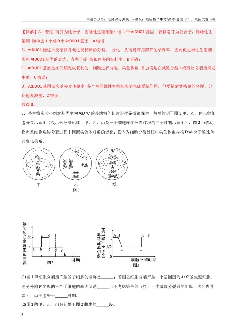《猜押02细胞增殖、分化、衰老和死亡（教师版）_06-生物-高考总复习_专项复习_2025年_2025年高考生物抢分秘籍（新高考专用）_2025版》第6页预览