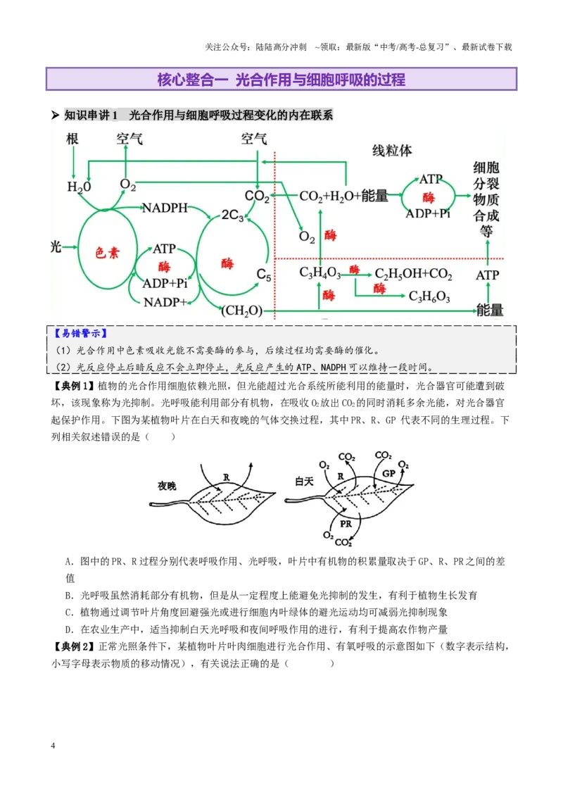 《第04讲细胞呼吸和光合作用（讲义）（学生版）_06-生物-高考总复习_二轮复习_2025年_2025年高考生物二轮复习课件+讲义+练习（新高考通用）》第4页预览