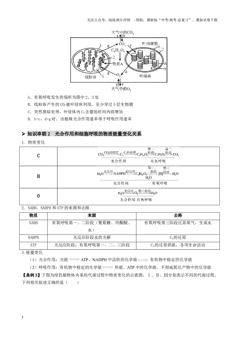 《第04讲细胞呼吸和光合作用（讲义）（学生版）_06-生物-高考总复习_二轮复习_2025年_2025年高考生物二轮复习课件+讲义+练习（新高考通用）》第5页预览
