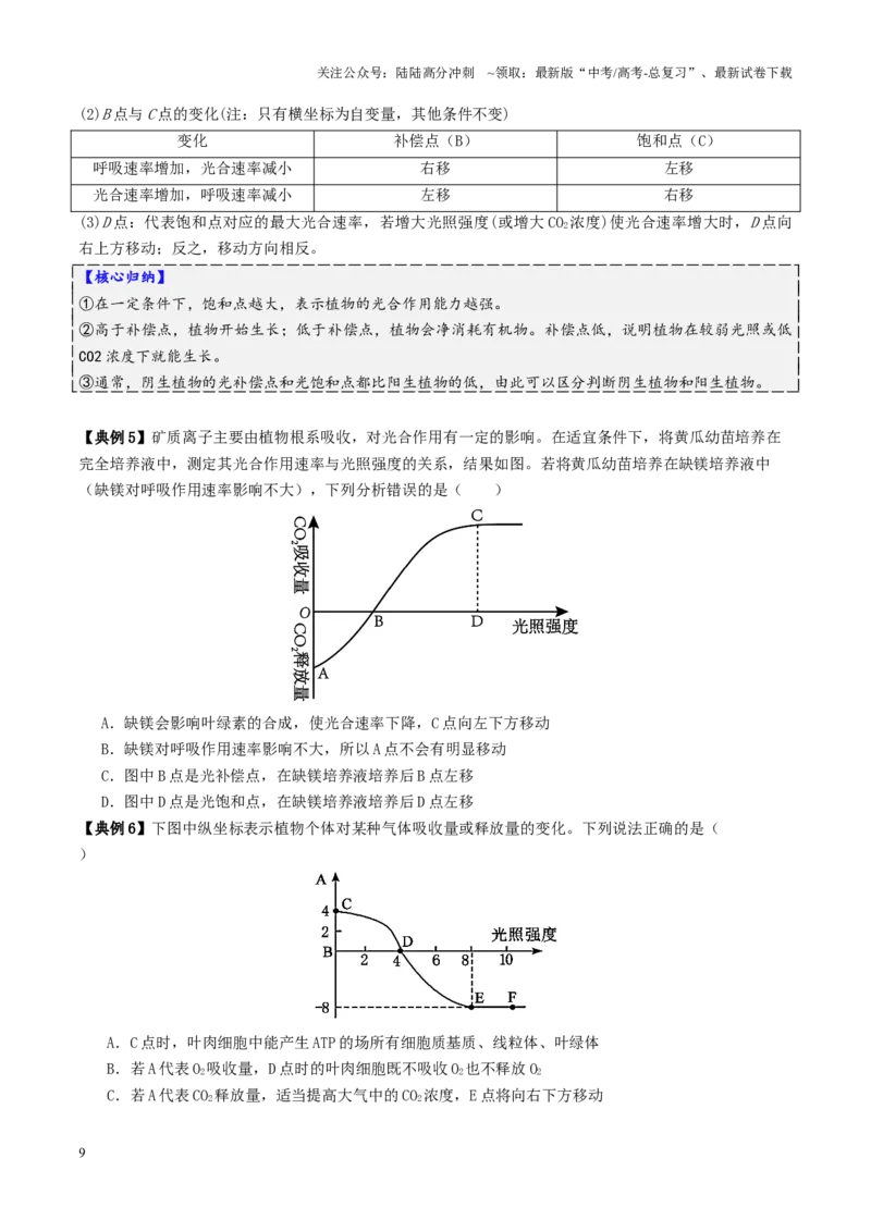《第04讲细胞呼吸和光合作用（讲义）（学生版）_06-生物-高考总复习_二轮复习_2025年_2025年高考生物二轮复习课件+讲义+练习（新高考通用）》第9页预览