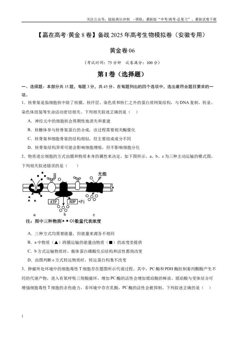 《模拟卷06（安徽专用）（考试版）_06-生物-高考总复习_专项复习_2025年_2025年高考生物模拟卷（安徽专用）8套》第1页预览