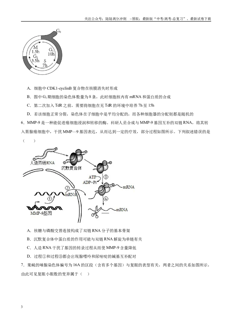 《模拟卷06（安徽专用）（考试版）_06-生物-高考总复习_专项复习_2025年_2025年高考生物模拟卷（安徽专用）8套》第3页预览