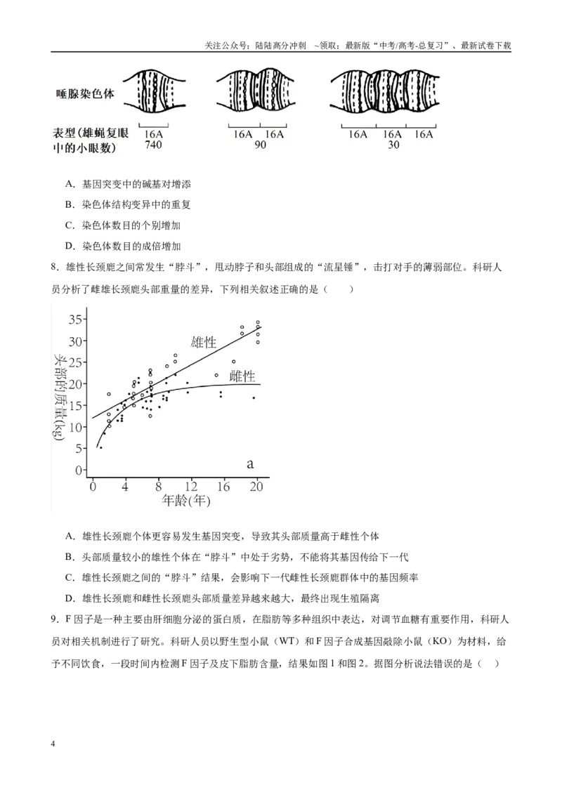 《模拟卷06（安徽专用）（考试版）_06-生物-高考总复习_专项复习_2025年_2025年高考生物模拟卷（安徽专用）8套》第4页预览