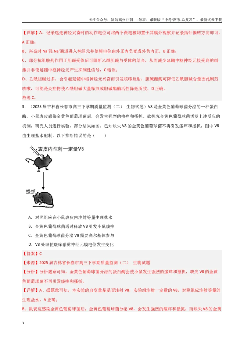 《猜押04神经-体液-免疫调节（教师版）_06-生物-高考总复习_专项复习_2025年_2025年高考生物抢押秘籍（黑吉辽蒙专用）》第3页预览