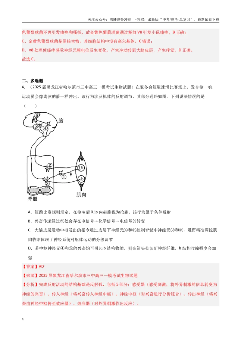 《猜押04神经-体液-免疫调节（教师版）_06-生物-高考总复习_专项复习_2025年_2025年高考生物抢押秘籍（黑吉辽蒙专用）》第4页预览