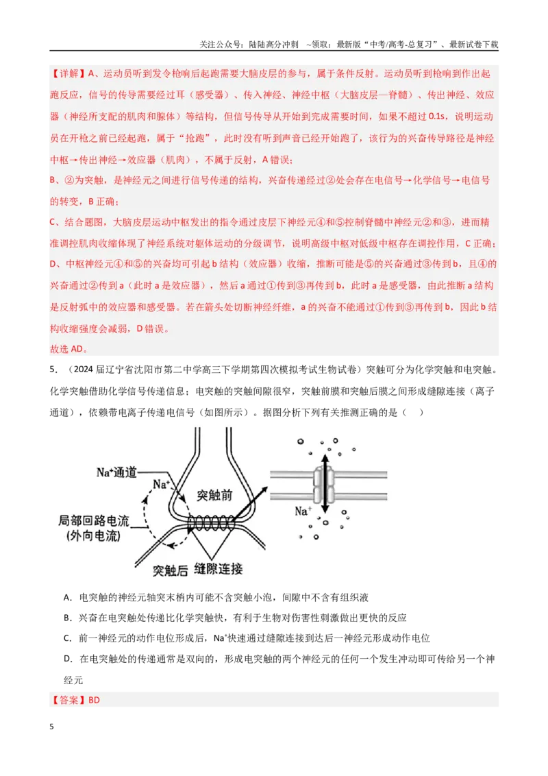 《猜押04神经-体液-免疫调节（教师版）_06-生物-高考总复习_专项复习_2025年_2025年高考生物抢押秘籍（黑吉辽蒙专用）》第5页预览