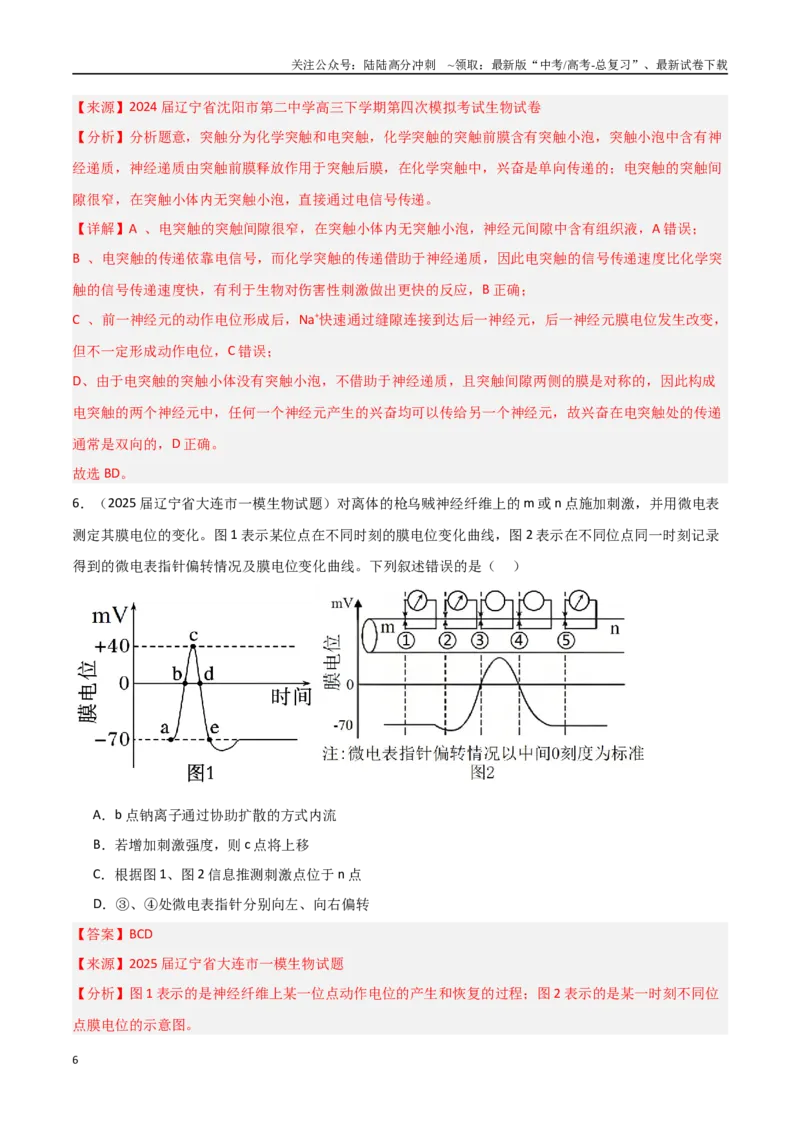 《猜押04神经-体液-免疫调节（教师版）_06-生物-高考总复习_专项复习_2025年_2025年高考生物抢押秘籍（黑吉辽蒙专用）》第6页预览
