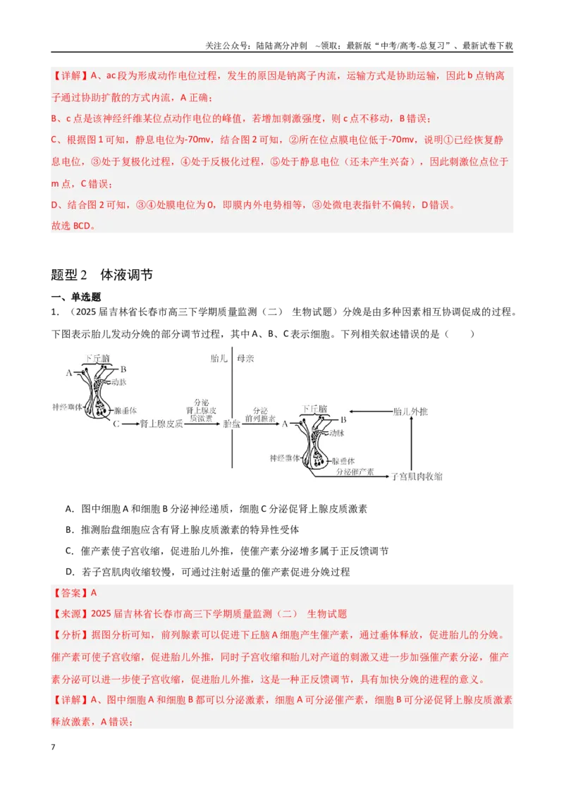 《猜押04神经-体液-免疫调节（教师版）_06-生物-高考总复习_专项复习_2025年_2025年高考生物抢押秘籍（黑吉辽蒙专用）》第7页预览