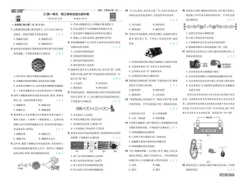 《26秋初中一遍过七上生物人教试卷教师用书_26秋小学初中各机构教辅大合集（一本、教材帮、阳光同学、王朝霞、实验班、小典中点、上分卷、白欧、课堂笔记等等）_26秋初中教辅资料》第3页预览