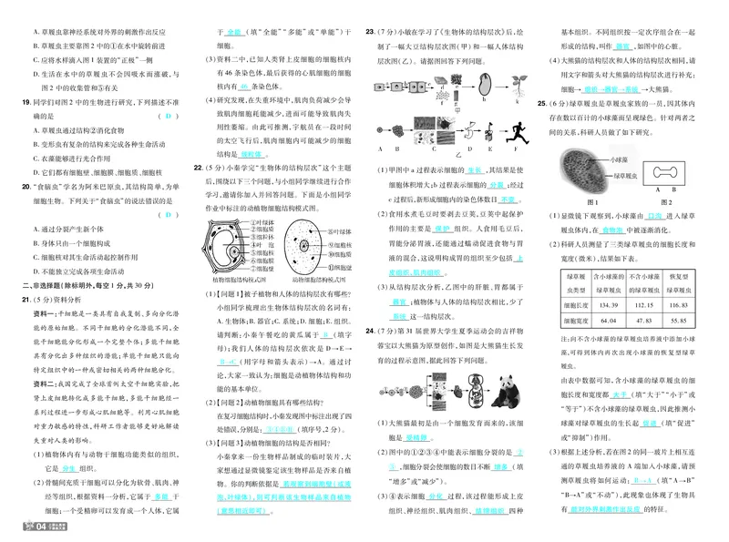 《26秋初中一遍过七上生物人教试卷教师用书_26秋小学初中各机构教辅大合集（一本、教材帮、阳光同学、王朝霞、实验班、小典中点、上分卷、白欧、课堂笔记等等）_26秋初中教辅资料》第4页预览