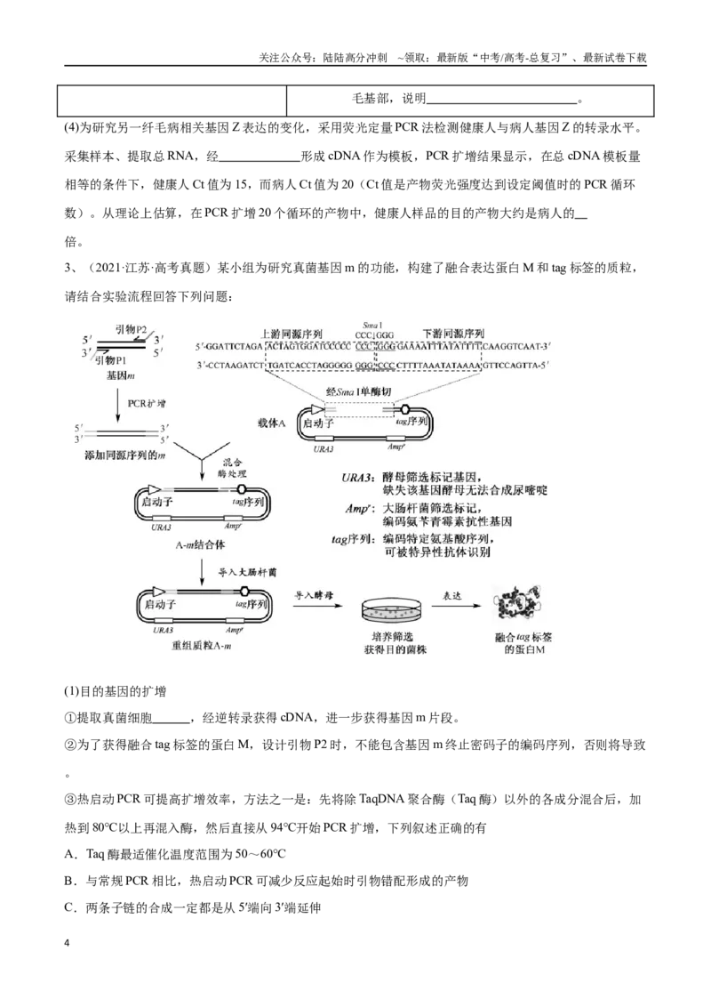 《专题05基因工程（江苏卷）（原卷版）_06-生物-高考总复习_专项复习_2024年_2024年高考生物考前大题秒杀技巧及专项训练_资料》第4页预览