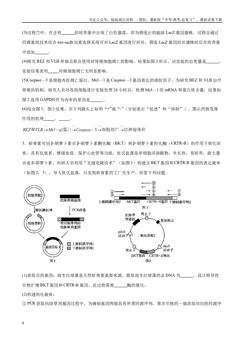 《专题05基因工程（江苏卷）（原卷版）_06-生物-高考总复习_专项复习_2024年_2024年高考生物考前大题秒杀技巧及专项训练_资料》第9页预览