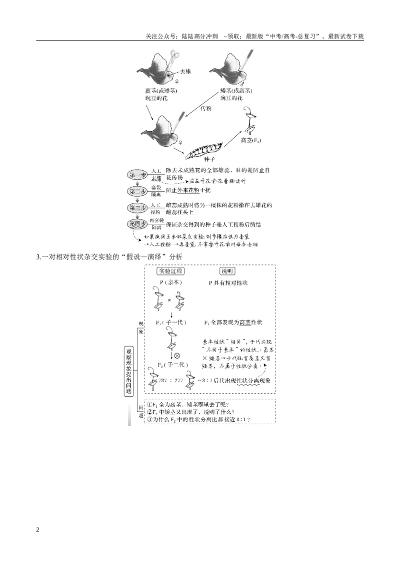 《专题07遗传的基本规律（学生版）_06-生物-高考总复习_专项复习_2024年_2024年高考生物总复习核心题型解读与全攻略新教材_资料》第2页预览