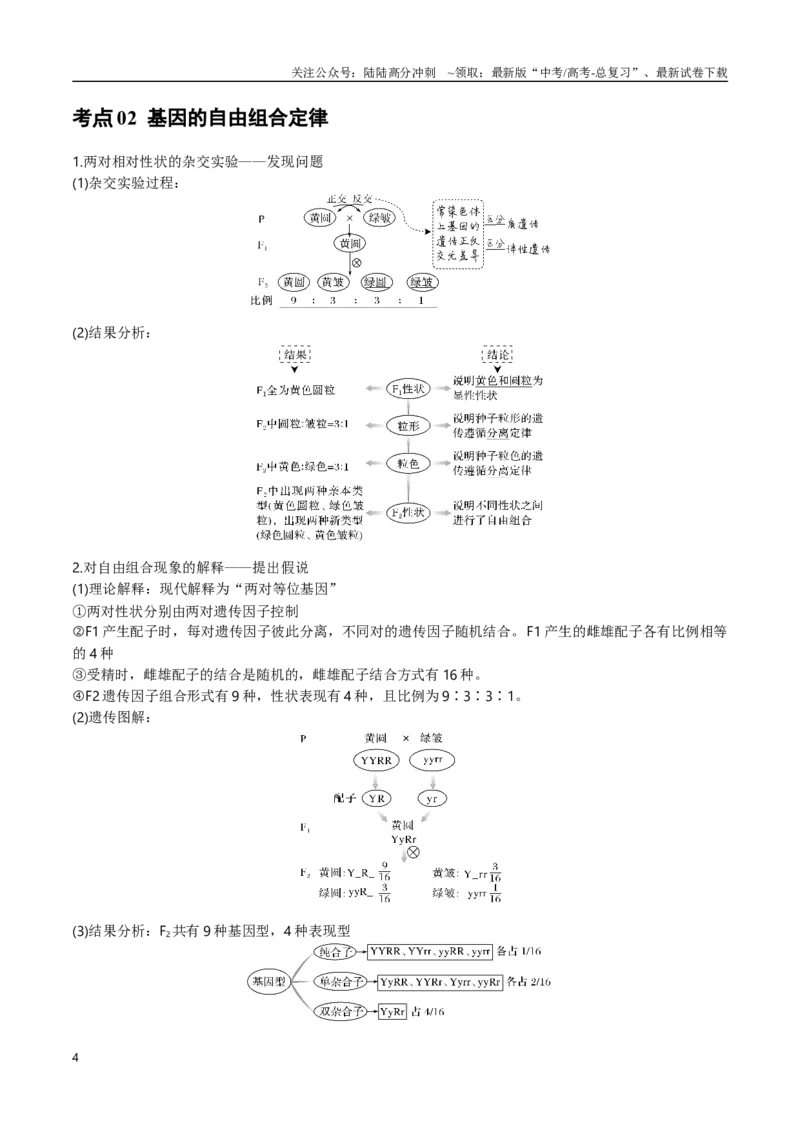 《专题07遗传的基本规律（学生版）_06-生物-高考总复习_专项复习_2024年_2024年高考生物总复习核心题型解读与全攻略新教材_资料》第4页预览