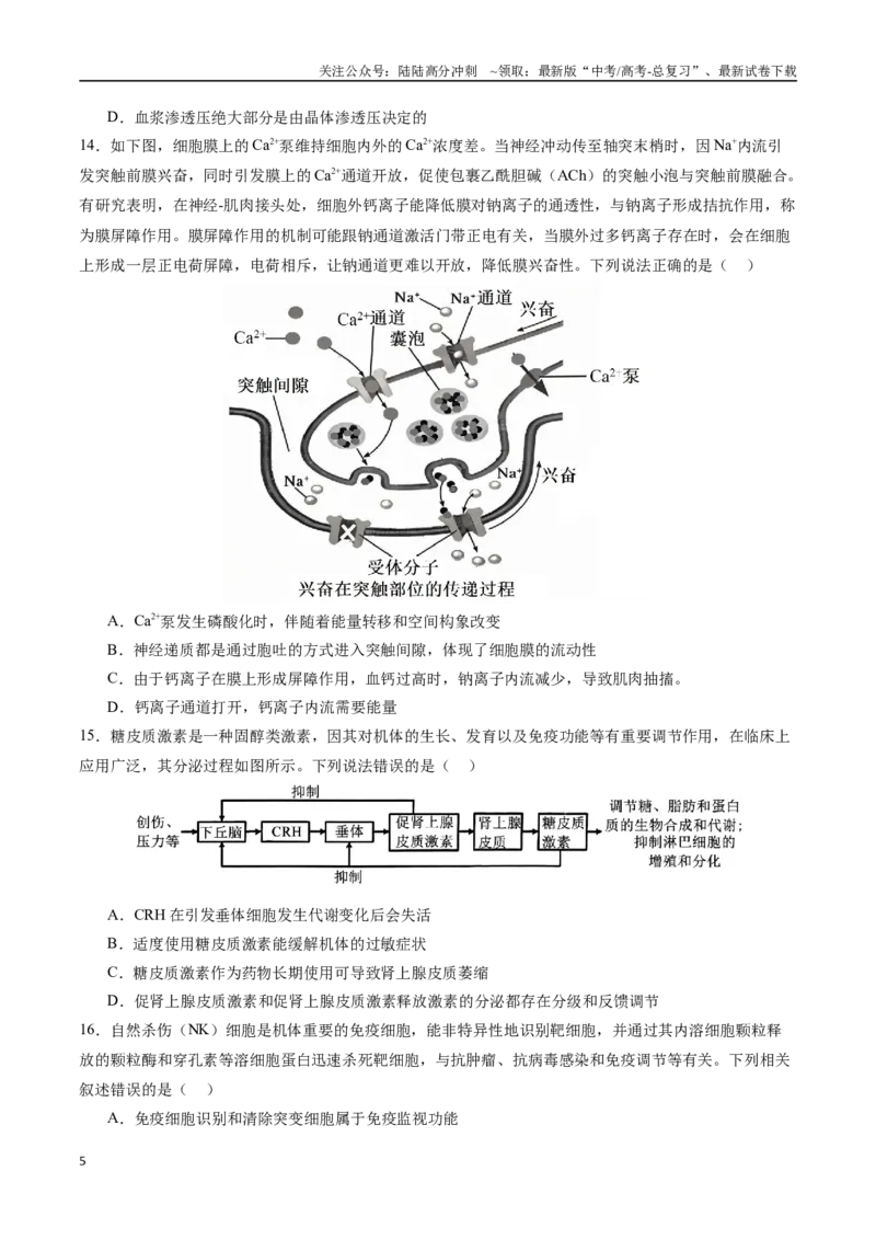 《生物（全国卷）（考试版）_06-生物-高考总复习_专项复习_2025年_2025年高考第一二三次模拟卷（多地区）生物_2025年高考生物第一次模拟卷24套》第5页预览